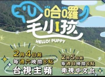 哈啰!毛小孩